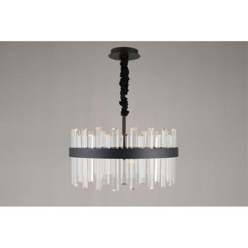 Люстра подвесная OML-69413-06 фото 4