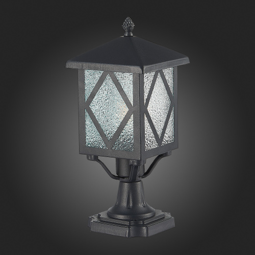 SL084.405.01 Светильник уличный наземный ST-Luce Черный/Черный, Прозрачный E27 1*60W LORNE фото 6