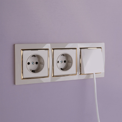 Розетка с заземлением (слоновая кость) W1171003 фото 11