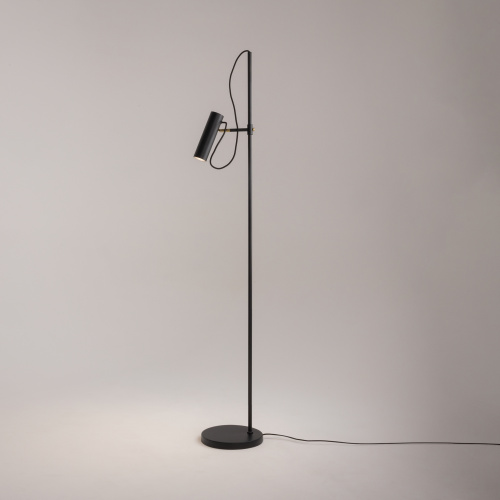 Напольный светильник (торшер) Maytoni MOD129FL-01B фото 12