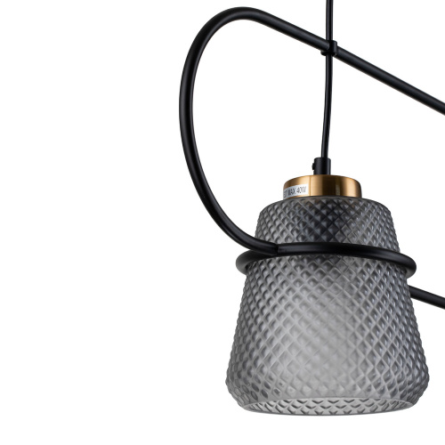 Подвесной светильник 11016/2P Black фото 4