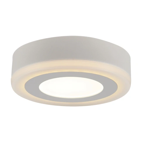Потолочный светильник Arte Lamp ANTARES A7809PL-2WH Потолочный светильник Arte Lamp ANTARES A7809PL-2WH