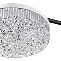 8236/4CL LEDIO LN25 000 черный, металл/акрил Люстра потолочная с ПДУ LED 55W 3000-6000К 220V DIDANA