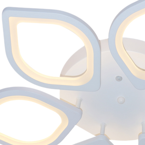 Потолочный светильник Escada 10216/6 LED*92W White фото 2