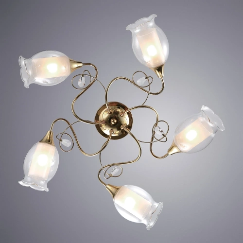 Потолочная люстра Arte Lamp MUGHETTO A9289PL-5GO фото 2