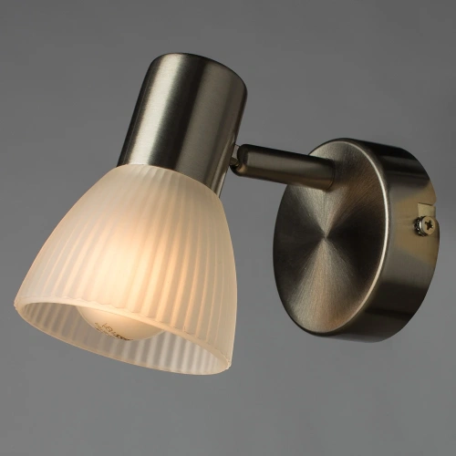 Спот Arte Lamp PARRY A5062AP-1SS фото 2 Спот Arte Lamp PARRY A5062AP-1SS фото 2