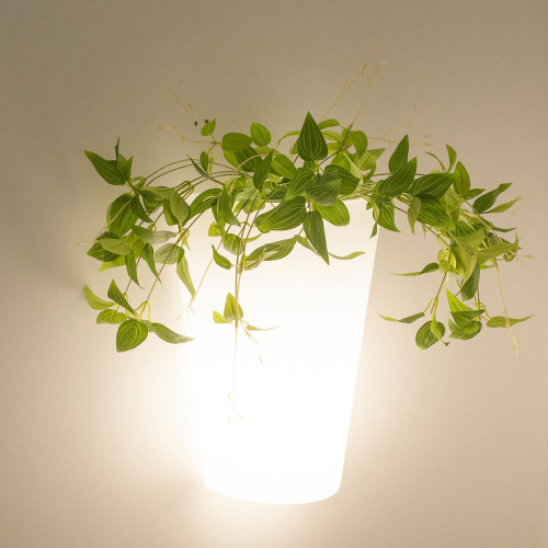 Уличный настенный светильник Mantra Teja 6508 фото 2