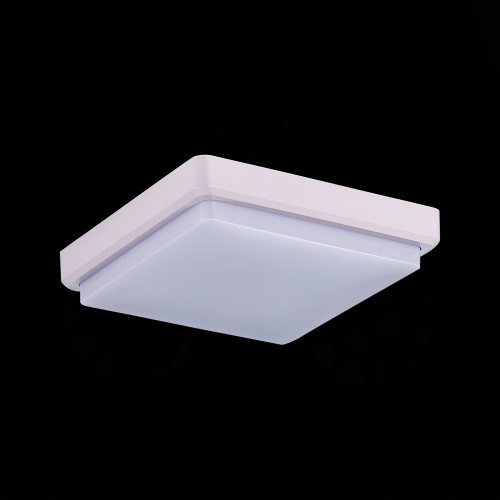 SLE200212-01 Светильник потолочный Белый/Белый LED 1*20W 4000K TADDIO фото 5