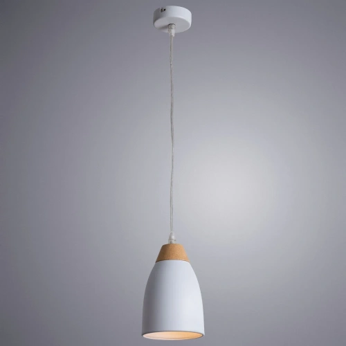 Подвесной светильник Arte Lamp TALLI A5167SP-1WH фото 2 Подвесной светильник Arte Lamp TALLI A5167SP-1WH фото 2