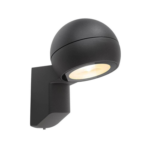 Уличный настенный светильник Deko-Light Leonis 731077 Уличный настенный светильник Deko-Light Leonis 731077