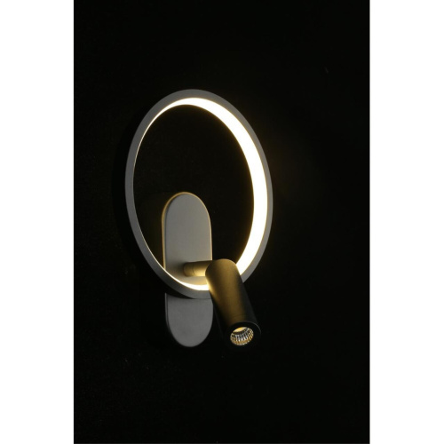 Светильник настенный (Бра) APL.346.01.02 фото 12