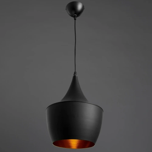 Подвесной светильник Arte Lamp CAPPELLO A3407SP-1BK фото 2 Подвесной светильник Arte Lamp CAPPELLO A3407SP-1BK фото 2