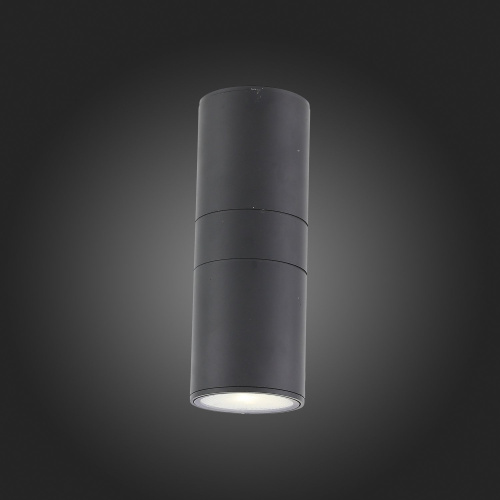 SL074.411.02 Светильник уличный настенный ST-Luce Черный/Черный LED 2*8W 4000K TUBO фото 2
