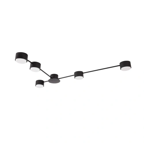 Потолочная люстра Arte Lamp TRACY A1527PL-5BK