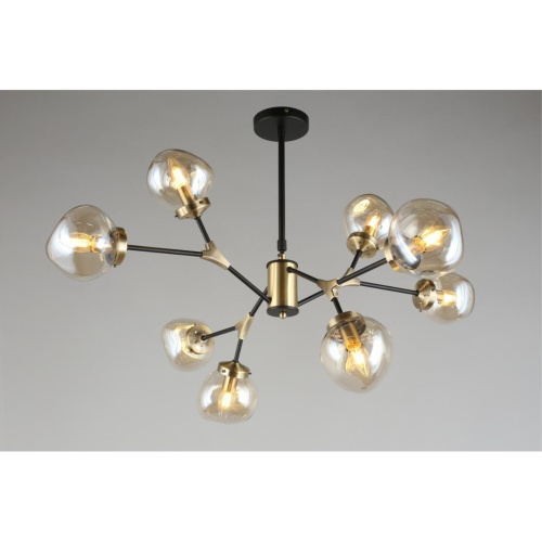 Люстра потолочная OML-95107-08 фото 5 Люстра потолочная OML-95107-08 фото 5