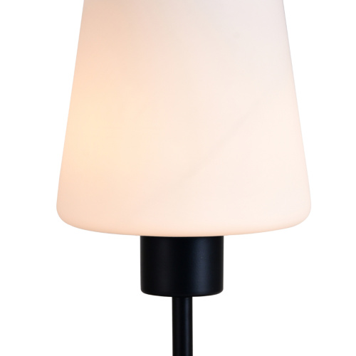 Настольный светильник 120004/1T E27*60W Black фото 3