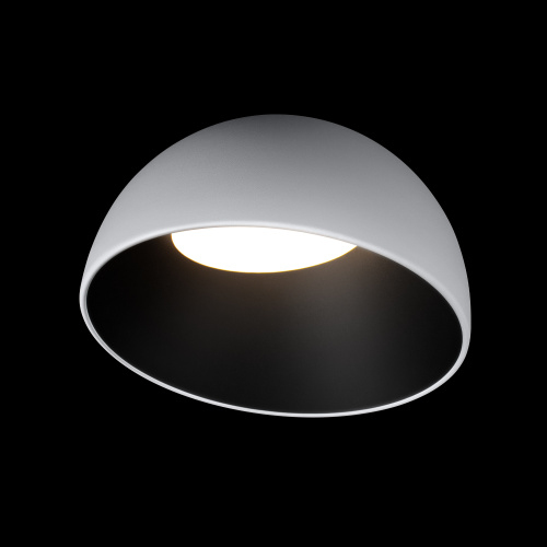 10197/350 WB  Потолочный светильник  LOFT IT Egg фото 3