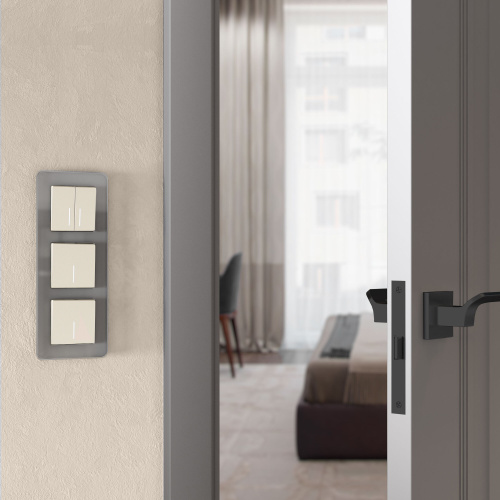 Рамка из стекла на 3 поста Elite дымчатый W0032417 фото 2