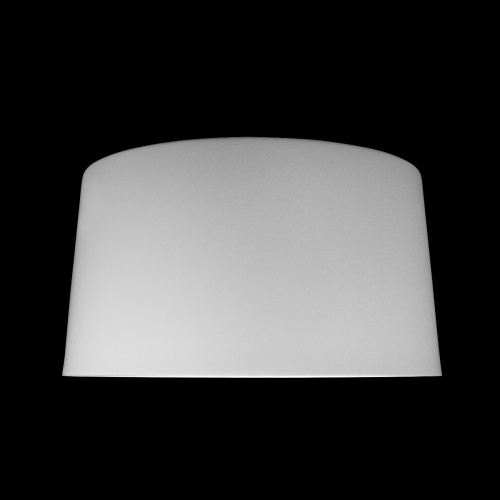 10360L White Потолочный светильник LOFT IT Duo фото 4