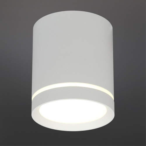 Светильник встраиваемый-накладной OML-102409-05 фото 3