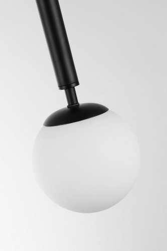 Подвесной светильник Lampit TP 2022-1 BK фото 3