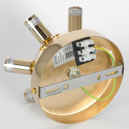 Потолочная люстра Lussole Loft Davie LSP-8782 фото 4 Потолочная люстра Lussole Loft Davie LSP-8782 фото 4