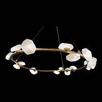 Подвесная люстра Pleiade Brass FL1223-12P