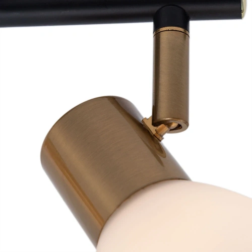 Спот Arte Lamp FALENA A3117PL-2BK фото 3