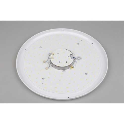 Люстра потолочная OML-43007-40 фото 10 Люстра потолочная OML-43007-40 фото 10