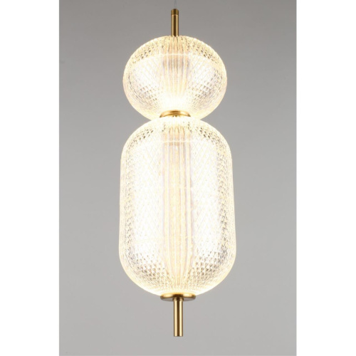 Светильник подвесной OML-68816-02 фото 6 Светильник подвесной OML-68816-02 фото 6