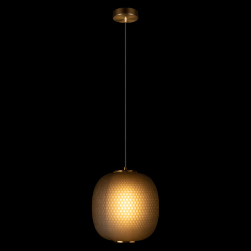 10425 Grey Подвесной светильник LOFT IT Hive фото 5