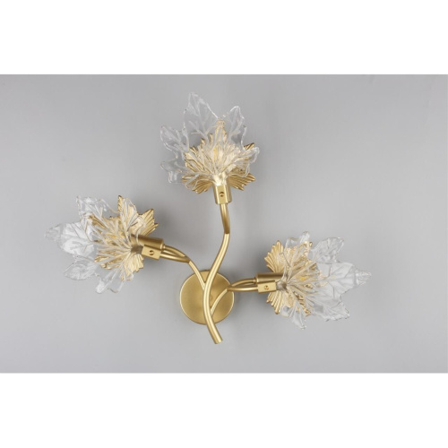 Светильник настенный (Бра) OML-52701-03 фото 5 Светильник настенный (Бра) OML-52701-03 фото 5