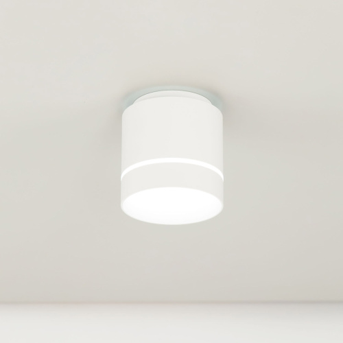 Citilux Борн CL745020N LED Светильник накладной Белый фото 7