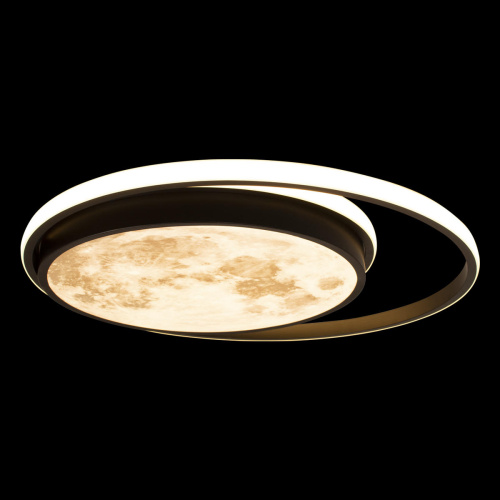 10217 Потолочный светильник LOFT IT Luna фото 2