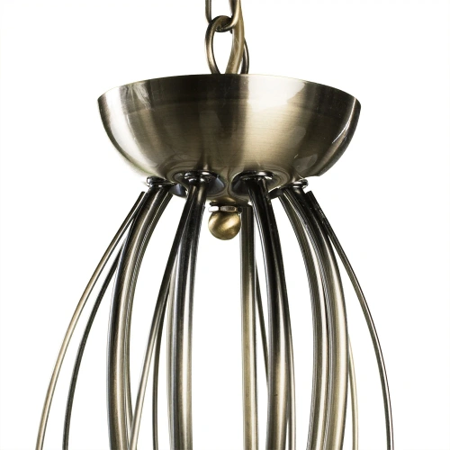 Подвесная люстра Arte Lamp DOMAIN A9521LM-8AB фото 3
