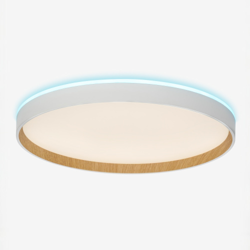 Citilux ETALON CL750400R LED RGB Светильник с пультом Белый+Бук фото 5 Citilux ETALON CL750400R LED RGB Светильник с пультом Белый+Бук фото 5