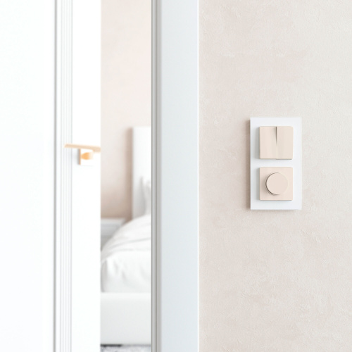 Диммер N (слоновая кость) W1142003 фото 2 Диммер N (слоновая кость) W1142003 фото 2