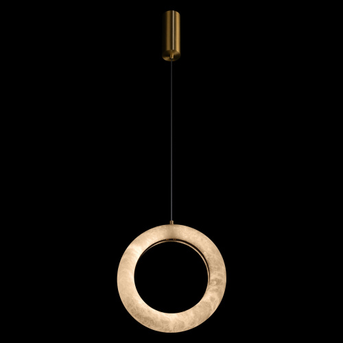 10410/D Подвесной светильник LOFT IT Soho фото 3