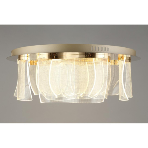 Люстра потолочная APL.864.07.50 фото 3 Люстра потолочная APL.864.07.50 фото 3