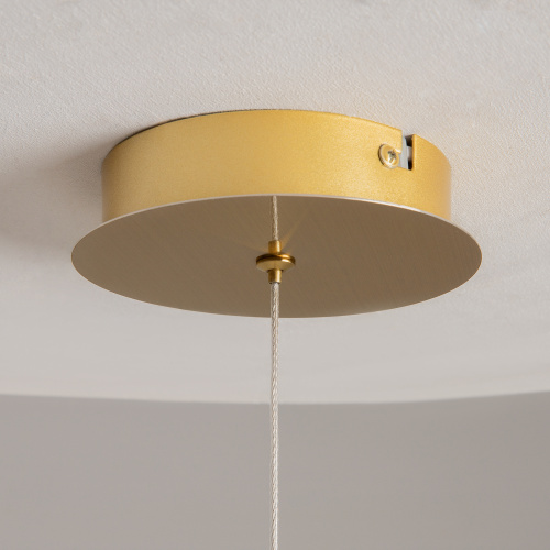 Подвесной светильник Maytoni MOD347PL-L8BS3K фото 11