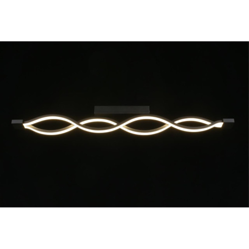 Светильник настенно-потолочный APL.002.12.36 фото 14