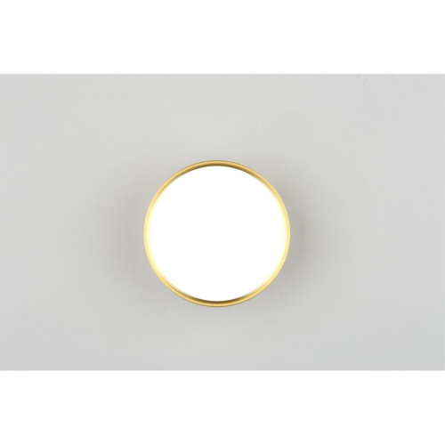 Светильник встраиваемый-накладной OML-100929-12 фото 5 Светильник встраиваемый-накладной OML-100929-12 фото 5