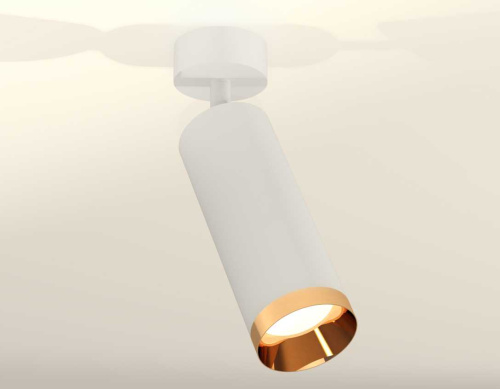 Комплект накладного светильника Ambrella light Techno Spot XM6342005 SWH/PYG белый песок/золото желтое полированное (A2202, C6342, N6134) фото 2
