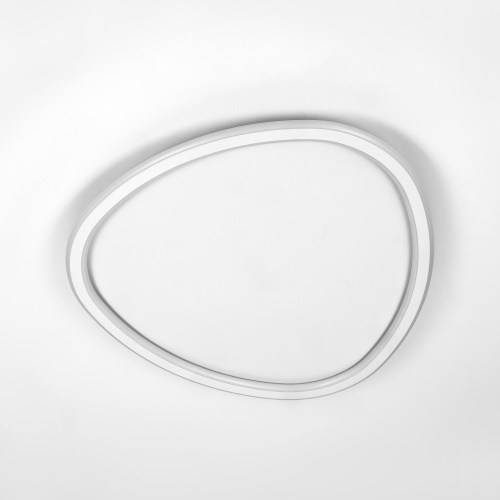 Citilux ТRIO CL215B250E LED RGB Люстра с пультом Белая фото 6 Citilux ТRIO CL215B250E LED RGB Люстра с пультом Белая фото 6