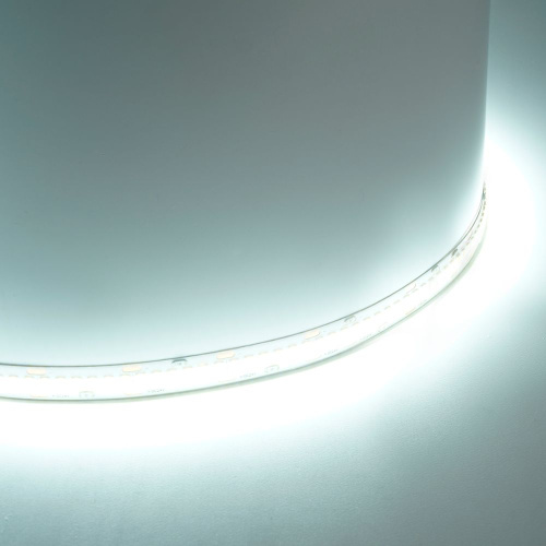 Светодиодная LED лента Feron LS503 240SMD(2835)/м 22Вт/м 24V 5000*10*1.22мм 6000К, IP20 фото 2