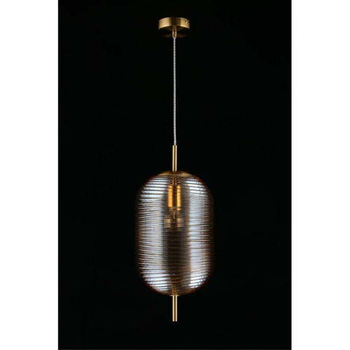 Светильник подвесной APL.316.06.01 фото 4