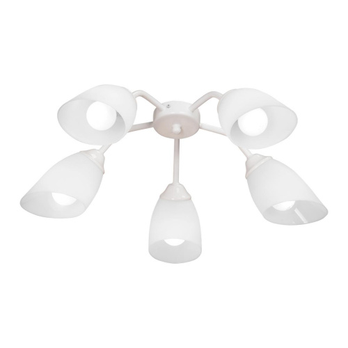 Потолочная люстра Vitaluce V31950/5PL Потолочная люстра Vitaluce V31950/5PL