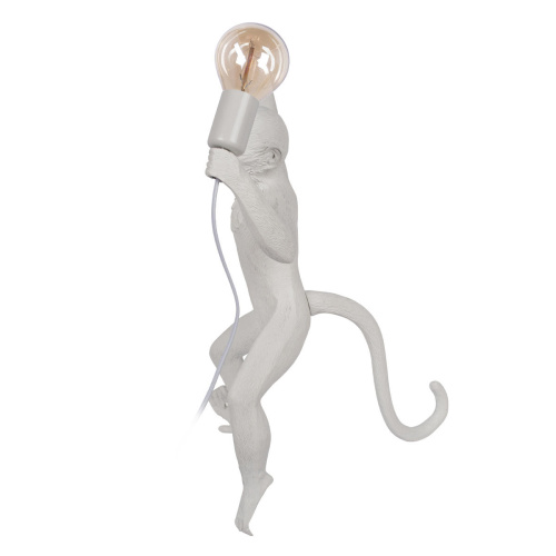 10314W/B Настенный светильник LOFT IT Monkey фото 3