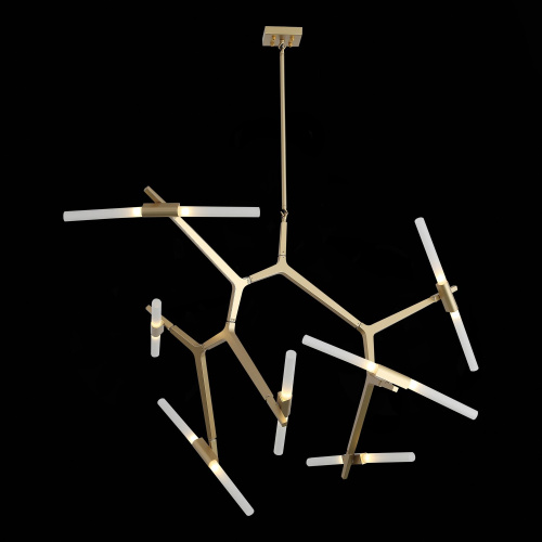 SL947.202.14 Люстра потолочная ST-Luce Золотистый/Белый G9 14*5W LACONICITA фото 8 SL947.202.14 Люстра потолочная ST-Luce Золотистый/Белый G9 14*5W LACONICITA фото 8