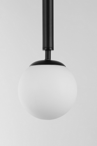 Подвесной светильник Lampit TP 2022-1 BK фото 5